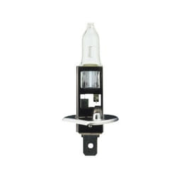 Ampoule halogène BOSCH H1 Pure Light 12V, 55W, 1 pièce