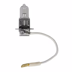 Ampoule halogène BOSCH H3 Pure Light 12V, 55W, 1 pièce