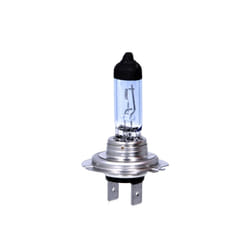 Ampoule halogène BOSCH H7 Xenon Blue 12V, 55W, 1 pièce