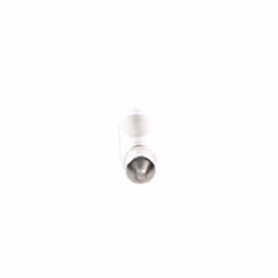 Ampoule secondaire BOSCH C10W Pure Light 12V, 10W, 10 pièce