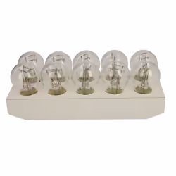Ampoule secondaire BOSCH P21/5W Trucklight 24V, 5/21W, 10 pièce