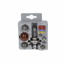 Jeu d'ampoules BOSCH H4 Maxibox +P21W R5W T4W PY21W P21/5W W5W C5W 1x15A 1x20A