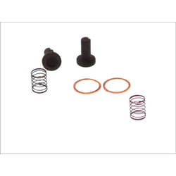 Filtre à carburant BOSCH 2 447 010 011