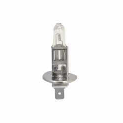 Ampoule halogène BOSCH H1 Trucklight 24V, 70W, 1 pièce - Vue supplémentaire 2