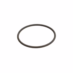 Bague en caoutchouc BOSCH F 00N 201 306