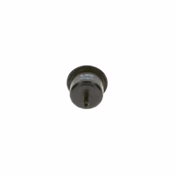 Filtre à carburant BOSCH 0 450 905 920 - Vue supplémentaire 5