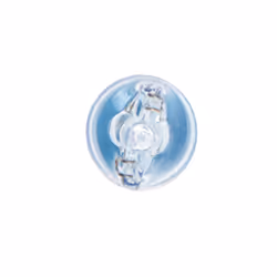 Ampoule secondaire BOSCH W5W Xenon Blue 12V/5W, 2 pièce - Vue supplémentaire 6