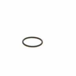 Bague en caoutchouc BOSCH F 00V C38 042