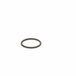 Bague en caoutchouc BOSCH F 00V C38 042 - Vue supplémentaire 5