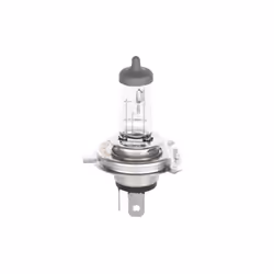 Ampoule halogène BOSCH H4 Plus 60% 12V, 60/55W, 1 pièce