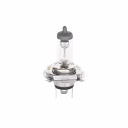 Ampoule halogène BOSCH H4 Plus 60% 12V, 60/55W, 1 pièce