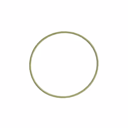 Bague en caoutchouc BOSCH F 00R 0P1 255