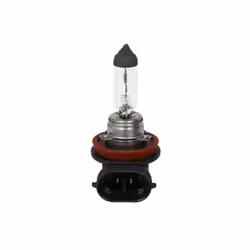 Ampoule halogène BOSCH H11 Pure Light 12V, 55W, 1 pièce