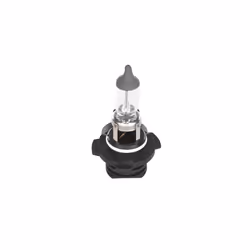 Ampoule secondaire BOSCH H10 Pure Light 12V, 42W, 1 pièce - Vue supplémentaire 4
