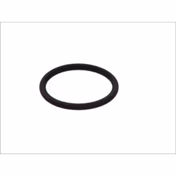 Bague en caoutchouc BOSCH F 00H N36 345