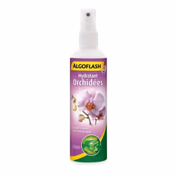 ALGOFLASH Hydratant Orchidées - 250ml