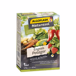 Algoflash 3167770210606