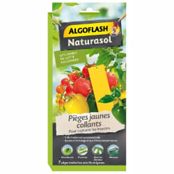 Pièges à Insectes Jaunes Collants - 7 Stickers