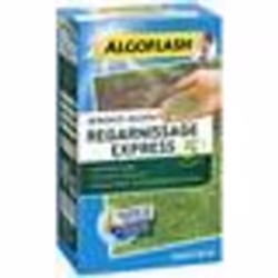ALGOFLASH - Gazon regarnissant express 5 jours 1kg