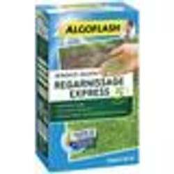 ALGOFLASH - Gazon regarnissant express 5 jours 1kg