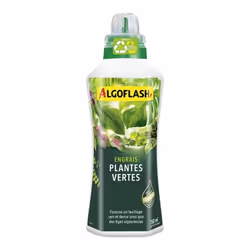 ALGOFLASH Engrais Plantes Vertes 750 mL