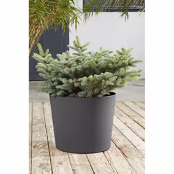 Poetic Element Extérieure Kit de plantation en pot Autonome Graphite - Vue supplémentaire 2