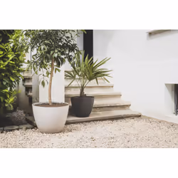 Poetic Element Extérieure Kit de plantation en pot Autonome Taupe - Vue supplémentaire 4
