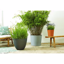 Poetic Element Extérieure Kit de plantation en pot Autonome Graphite - Vue supplémentaire 3