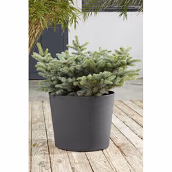 Poetic Element Conical Intérieur & extérieur Kit de plantation en pot Autonome Plastique recyclé Gris - Vue supplémentaire 3