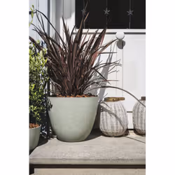 Poetic Element Extérieure Kit de plantation en pot Autonome Vert - Vue supplémentaire 2