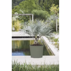 Poetic Element Intérieur & extérieur Kit de plantation en pot Autonome Vert - Vue supplémentaire 2