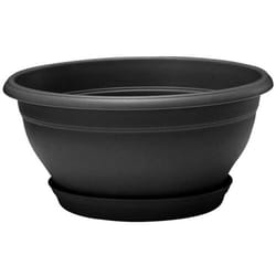 Coupe lotus Gris anthracite avec soucoupe clipsée, 30 x 15 cm, 5,3L EDA