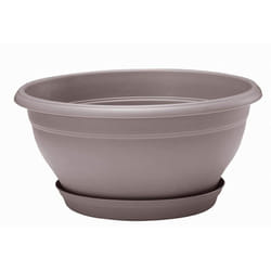 Coupe lotus Taupe avec soucoupe clipsée, 25 x 12,6 cm, 3L EDA