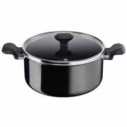 Tefal Faitout 24 cm + couvercle