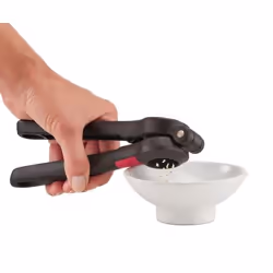 Tefal K2072614 Presse-ail