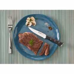 Tefal Ice Force 4 pièce(s) Jeu de couteaux