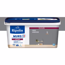 Peinture intérieure Gris Ardoise Velours Ultra-Couvrante pour Murs, Boiseries et Radiateurs - Ripolin La peinture Ripolin asp ...