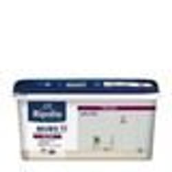 RIPOLIN Peinture Couleur Velours pour Murs Boiseries Radiateurs - Gris lome