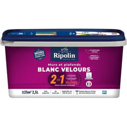 Mur & plafond 2 en 1 blanc velours - RIPOLIN - 25 L