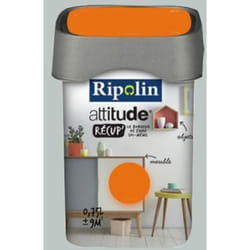 Peinture Attitude Récup' Gris tendre satin 0,75L 0,75 l - Ripolin