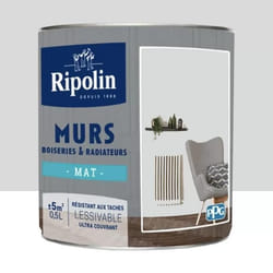 Peinture Murs Boiseries Radiateurs RIPOLIN Mat Gris souris 05 L
