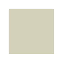 Peinture Murs Boiseries & Radiateurs RIPOLIN Vert laurier Mat 05 L