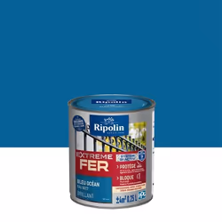 Peinture pour Fer Extérieur - Brillant - 025L - Bleu Océan RAL 5017 - Ripolin