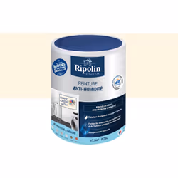 Peinture Etanchéité - Anti-Humidité - Ripolin - BENEFICES : Peinture d'ETANCHEITE ANTI HUMIDITE pour Rénover vos Pièces à pro ...