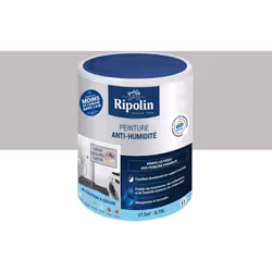 Peinture Etanchéité - Anti-Humidité - Ripolin - BENEFICES : Peinture d'ETANCHEITE ANTI HUMIDITE pour Rénover vos Pièces à pro ...