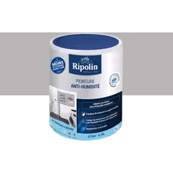 Peinture Etanchéité - Anti-Humidité - Ripolin - BENEFICES : Peinture d'ETANCHEITE ANTI HUMIDITE pour Rénover vos Pièces à pro ...
