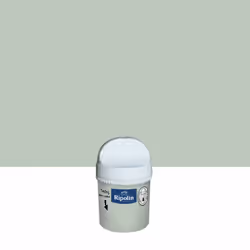 Cette peinture monocouche va sublimer votre intérieur ! Très couvrante, elle donnera un bel aspect uniforme à toutes vos surf ...