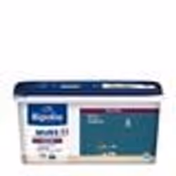 RIPOLIN Peinture Couleur Velours pour Murs Boiseries Radiateurs - Bleu Ainhoa