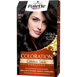 Palette - Coloration Permanente - Noir 900