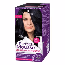 Schwarzkopf Perfect Mousse 210 Noir Glace